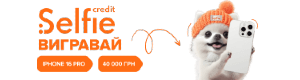43 logo